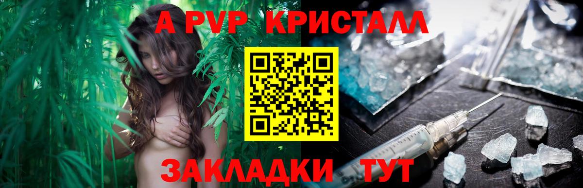 А ПВП СК КРИС Кировск